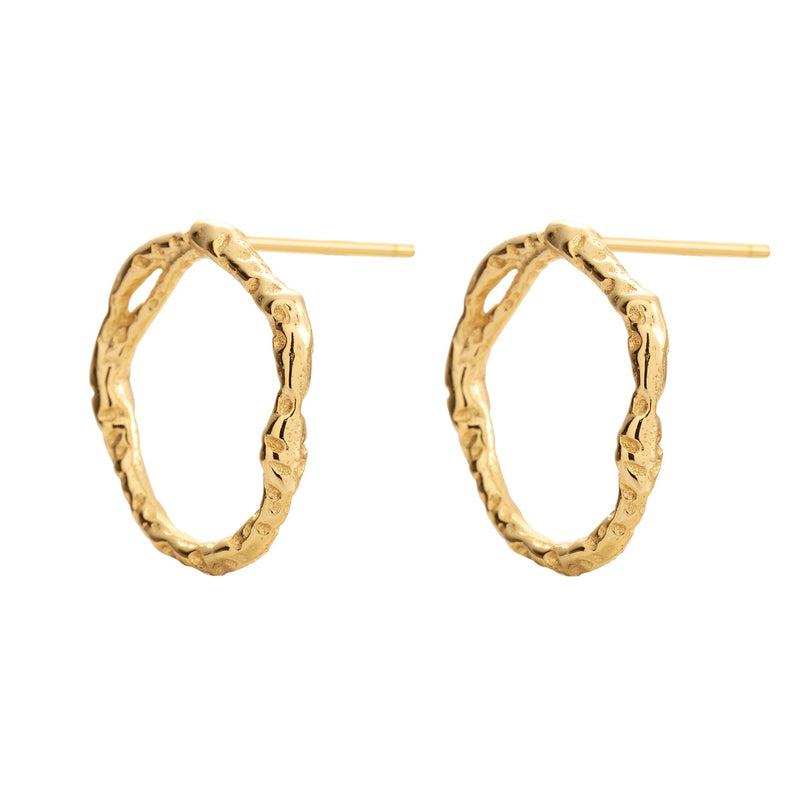 Echo Golden Stud Earrings
