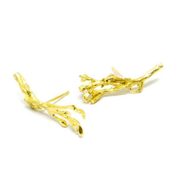 Gold earrings "MOSSI" S