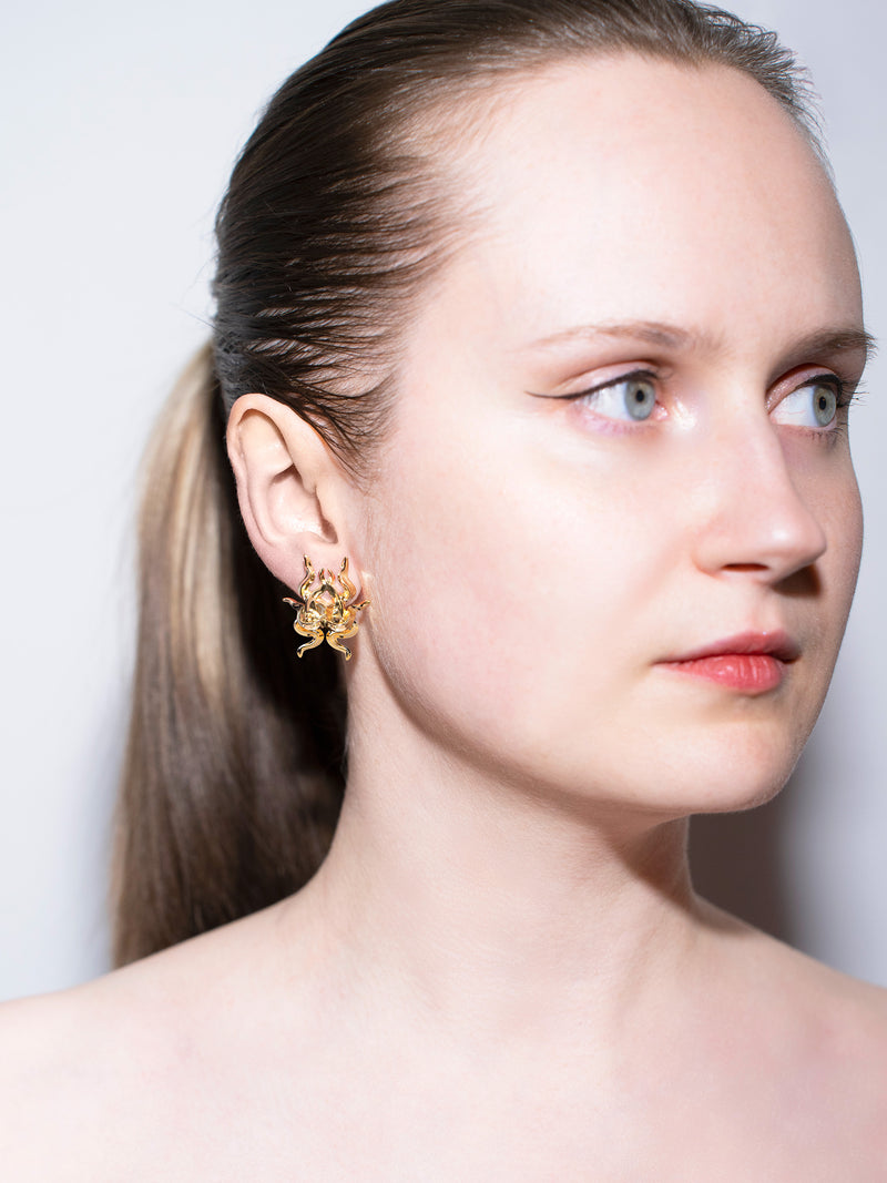Aureate Earrings gold