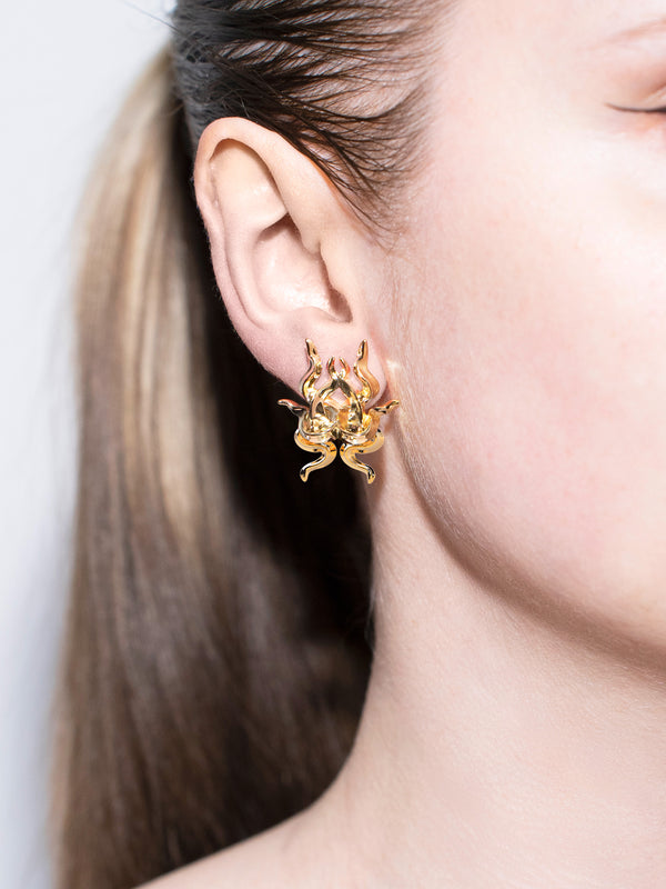 Aureate Earrings gold