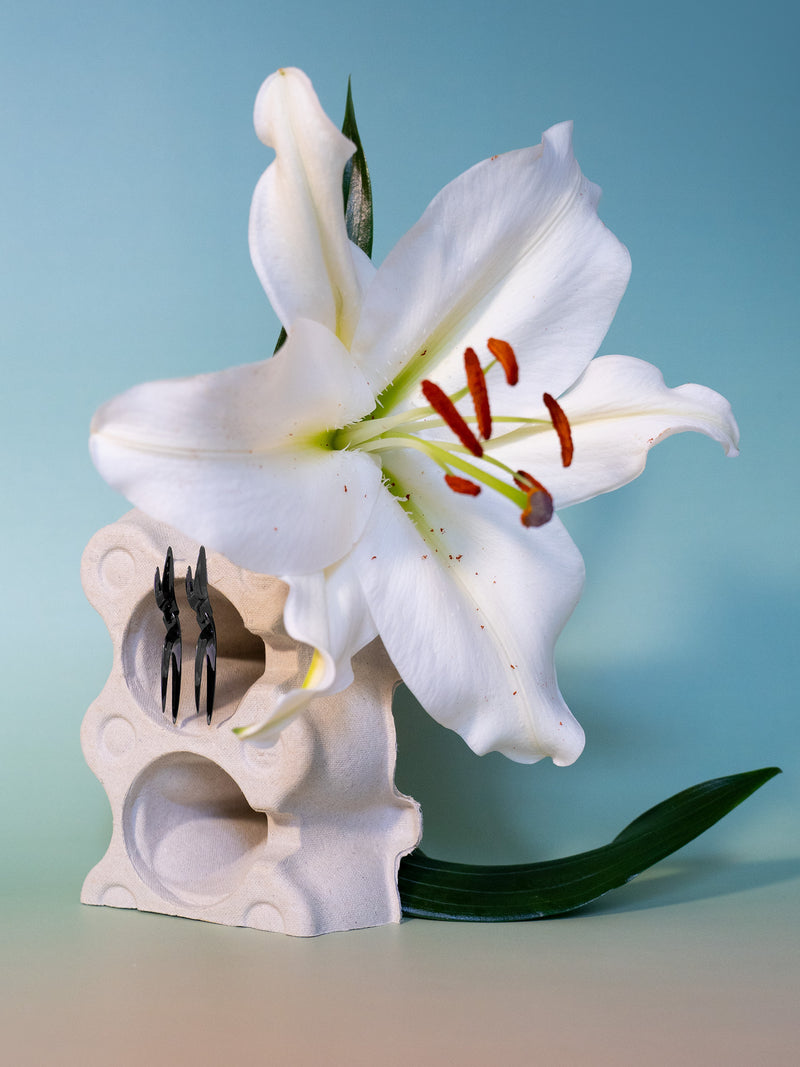 SAMTEN KÕRVARÕNGAD – MUST