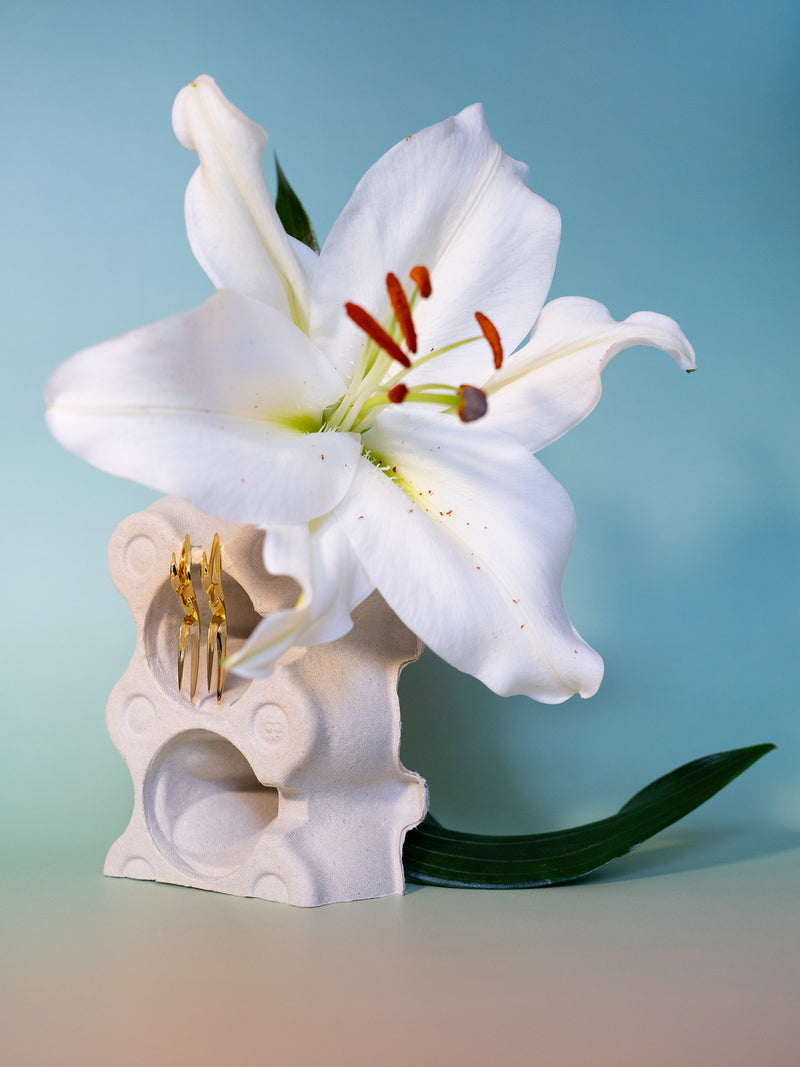 SAMTEN KÕRVARÕNGAD – KULLATUD