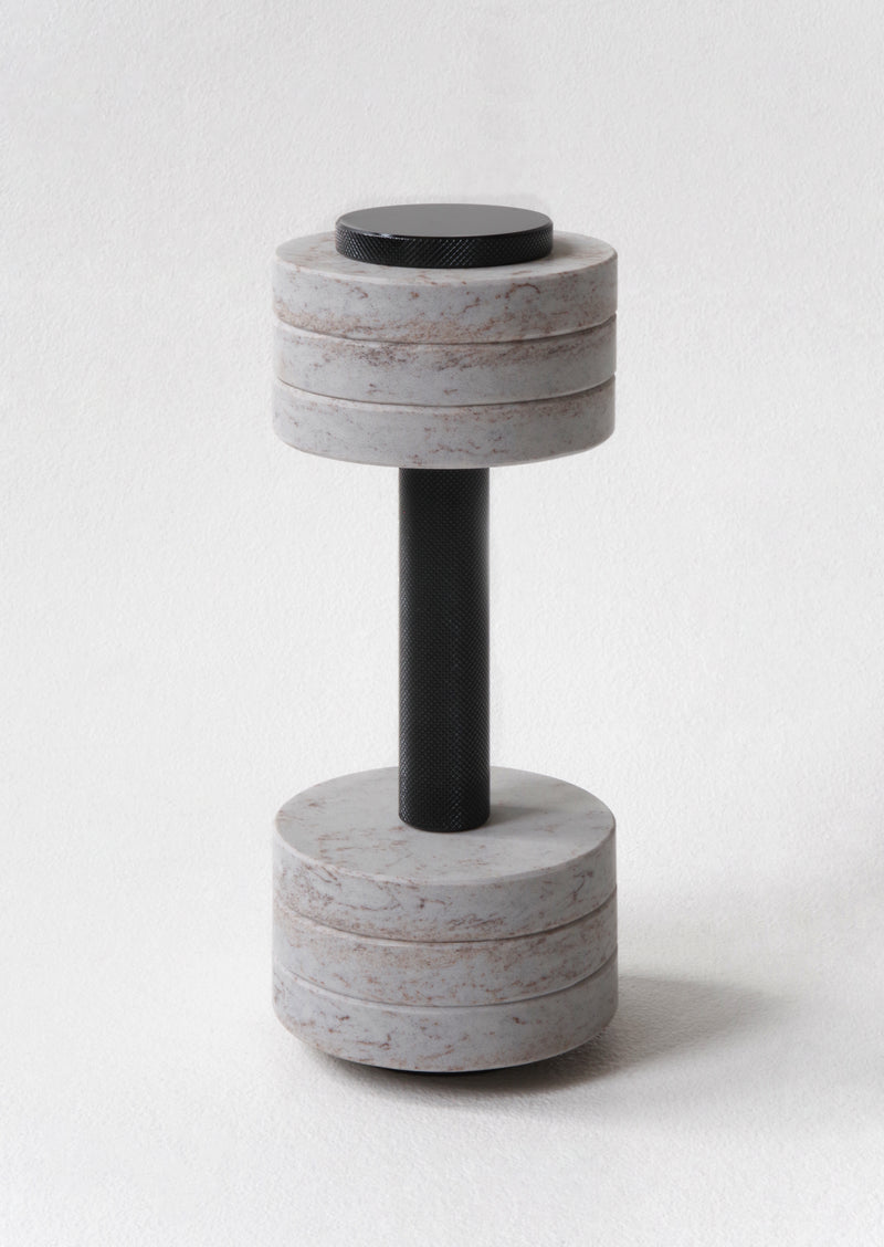 Adjustable dumbbell "GYMCHIC" Excava Rough