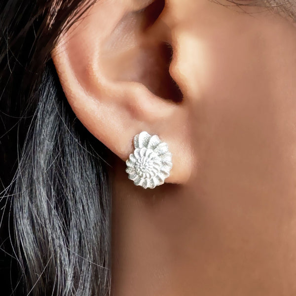 Earrings SHELL