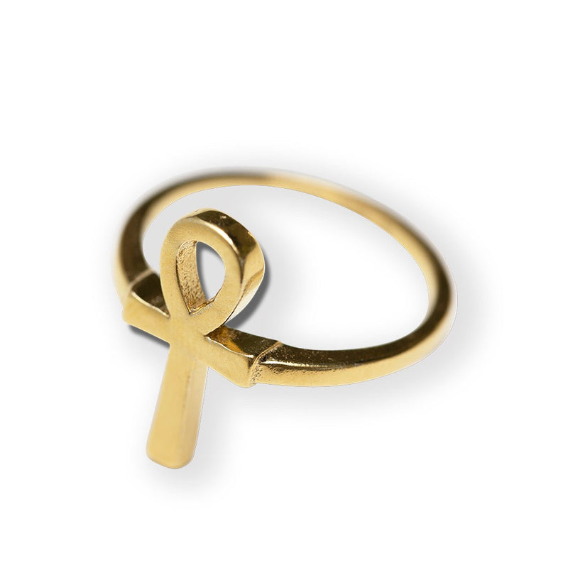 Amazon.com: LOYJOY Fashion Double Coil Ankh Ring Vintage Gold Sliver Color Egyptian  Ring Women Trendy Jewelry Party Girls - Gold - United States : Clothing,  Shoes & Jewelry
